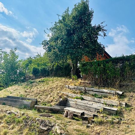 Libling Ruzovy Guest House Banská Štiavnica Exterior foto