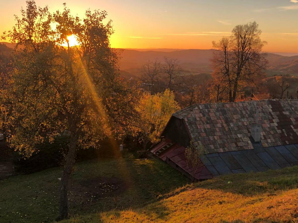 Libling Ruzovy Guest House Banská Štiavnica Exterior foto